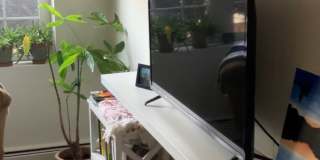 11 Cass Street Gallery 2