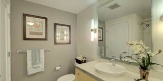 SEATTLE WATERFRONT CONDO FOR RENT w VIEWS! Gallery 12