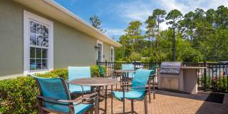 Angel Landing Gallery 25