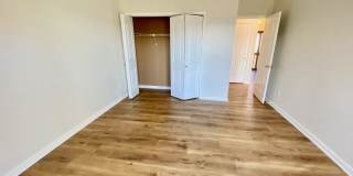 Central AVL - It's all about the view!!! Central AVL - It's all about the view!!! Gallery 38