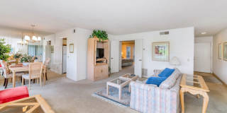 Rates Vary: $1,995 - $2,995 Gallery 5