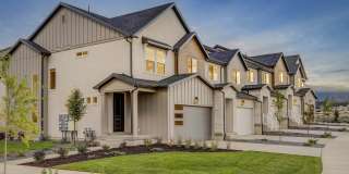 Mt. Rainier Gallery 7