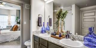 SilverStream Gallery 6