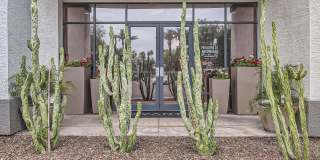Pavillions at Arrowhead Gallery 48