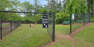 Preserve at Legacy Park Gallery 43