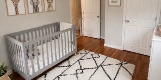 51 White Terrace Gallery 10