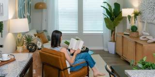 Isla Palmetto Gallery 29