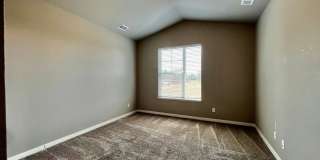 Mangold831 (KC-LN) Gallery 39
