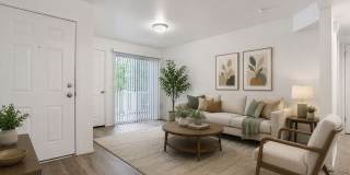 Windmill Cove Gallery 8