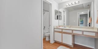 Apex Apartments Apex Apartments Gallery 27