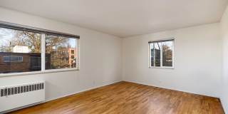 Park Manor Gallery 9