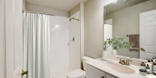 Savona Grand Gallery 14