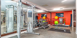 Maven at Wheaton Gallery 17