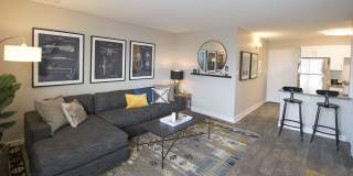 The Scott at East Village Apartments Gallery 8
