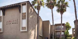 Elán Avante Apartment Homes Gallery 3