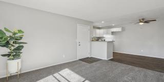 Aspire Rialto Gallery 13