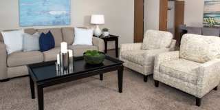 Cinnamon Ridge Gallery 11