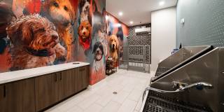 The Upton Gallery 48