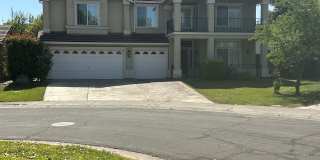 70 Jade Tree Cir Gallery 1