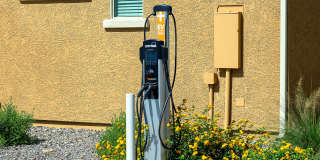 Village at the Blvd Gallery 69