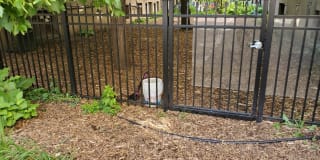 Grand & Dale Gallery 22