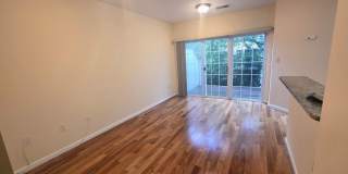 1541 NORTHERN NECK Drive Gallery 7