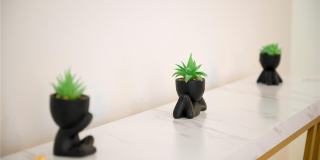 2960 KOKOMO LOOP Gallery 22