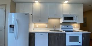 Red Oak at 83 Hanover Street Gallery 18