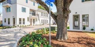 216 Steiner Oaks Gallery 14