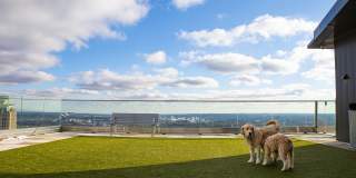 The Beacon Gallery 34