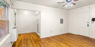 Forestry Court Gallery 16