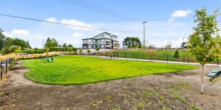 Verda Crossing Gallery 44