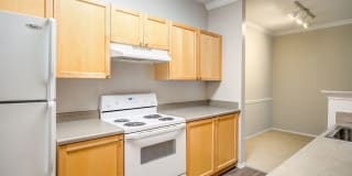 Reserve at Town Center Gallery 14