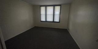 39 Austin Street - 39 Gallery 8