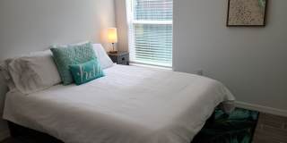 Beautiful 3 bedroom Home in Palm Coast Gallery 13