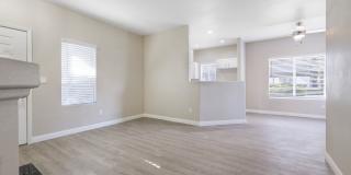 Arium Meadows Gallery 31