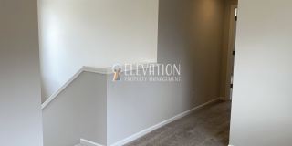 3 BR pet-friendly home with fenced yard Gallery 16
