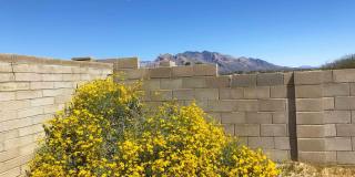 7800 N Nicole Place Gallery 2