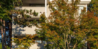 5307 LIVE CLOSE TO UNIVERSITY VILLAGE AND UW! Gallery 3