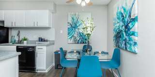 Starburst Starburst Gallery 15