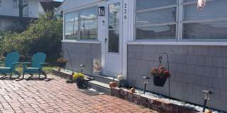 226 Ocean Boulevard Gallery 3