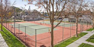 Rosewood Apartments Gallery 6