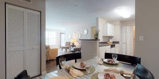 Ashley Cascade Gallery 11