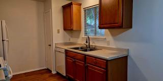 Charming South Austin Home with Huge Backyard & Mature Trees Gallery 9