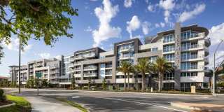 Elements Gallery 101