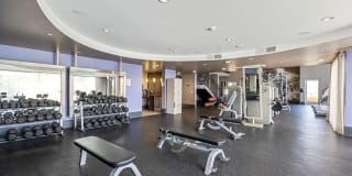 7950 West Sunset Gallery 20