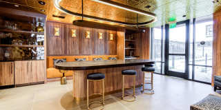 The Avalyn Gallery 29