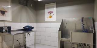 Crossroads at the Gulch Gallery 55