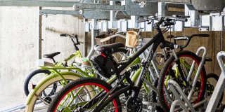 The Astrid Gallery 12