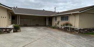 Duplex Gallery 1